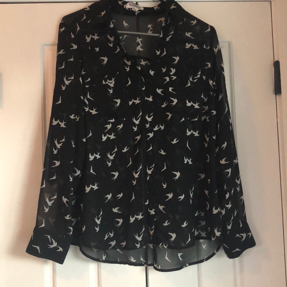Express sheer blouse